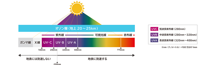 UVCは紫外線の中でも波長が短く、最も殺菌力が高いものです。